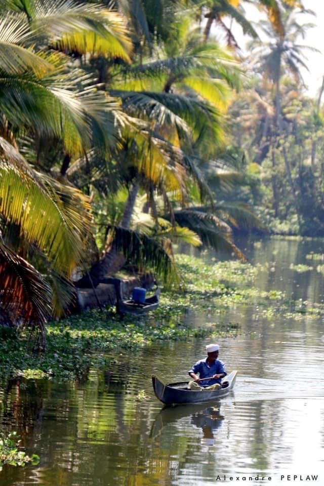 Cure Ayurvédique en Inde